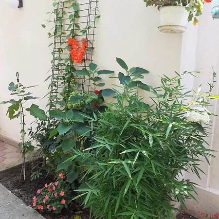 Vila Nicole Homestay
