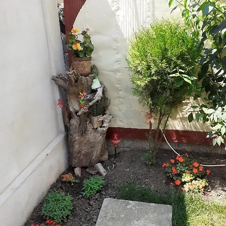 Accommodatie bij particulieren Vila Nicole